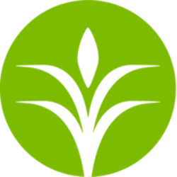 CF Industries Holding, Inc. Share Price